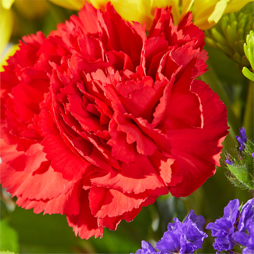 Brighter Days Bouquet –  Bruce Philp Florist, Windsor ON