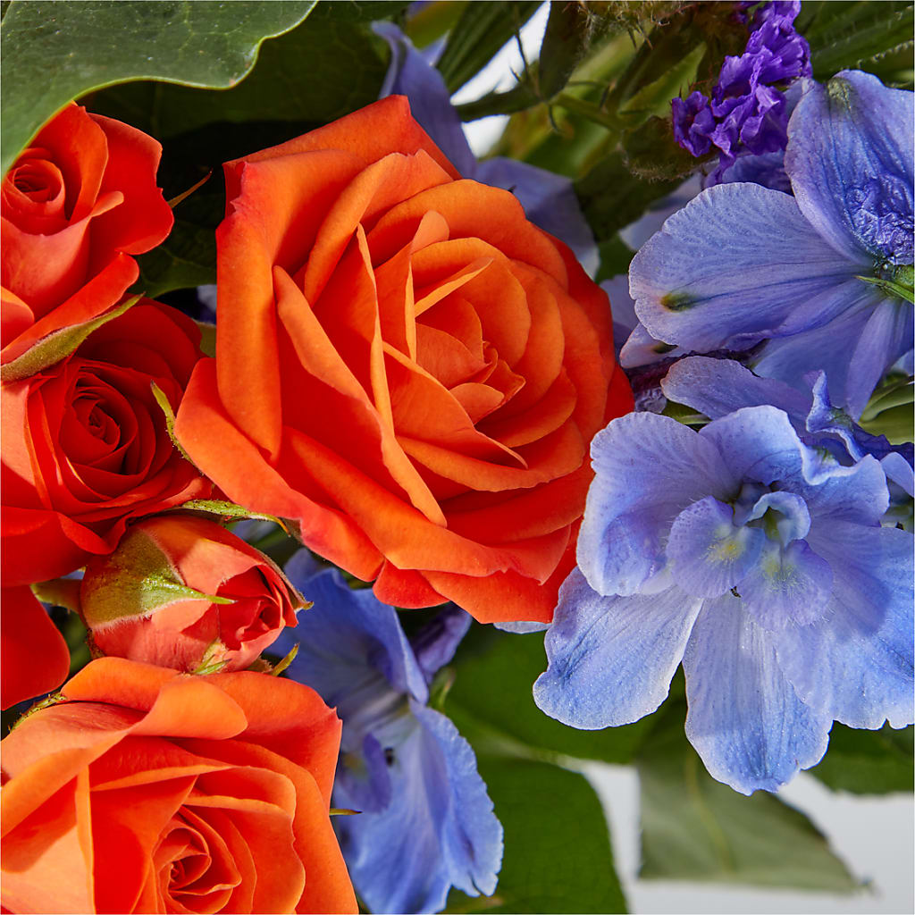 Radiant Citrus Bouquet –  Bruce Philp Florist, Windsor ON
