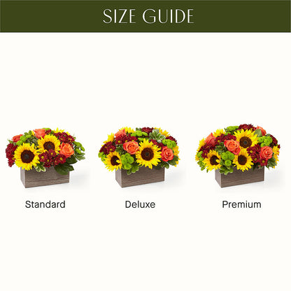 Happy Harvest Garden –  Bruce Philp Florist, Windsor ON