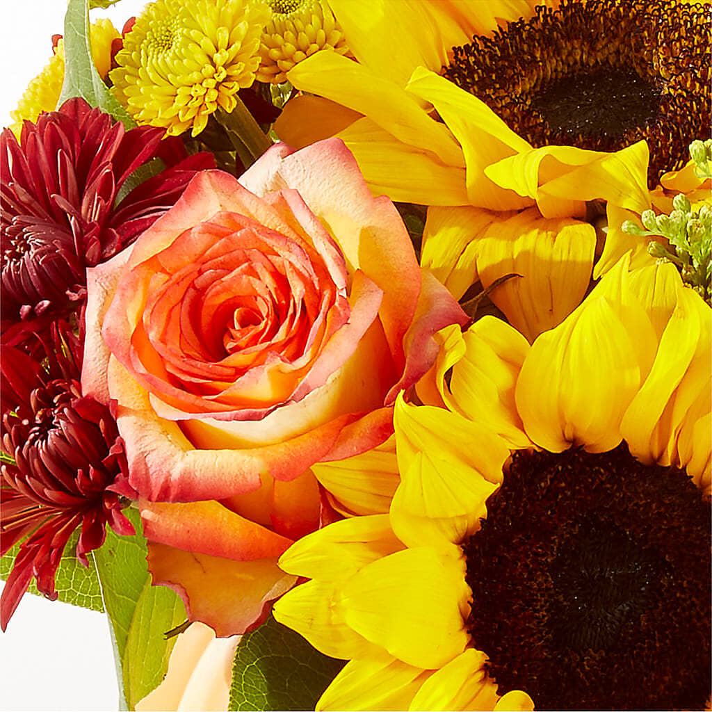 Golden Gourd Pumpkin Bouquet –  Bruce Philp Florist, Windsor ON