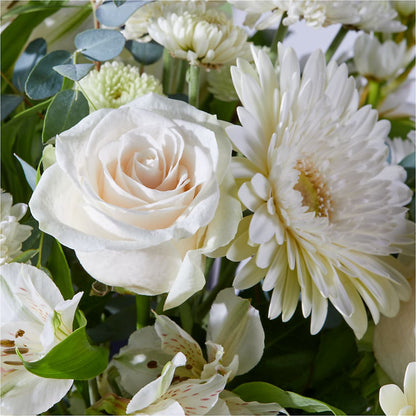 New Beginnings – A Florist Original –  Bruce Philp Florist, Windsor ON