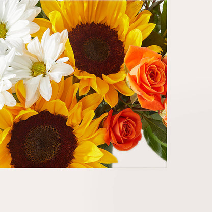 Sun-drenched Blooms Box Bouquet –  Bruce Philp Florist, Windsor ON