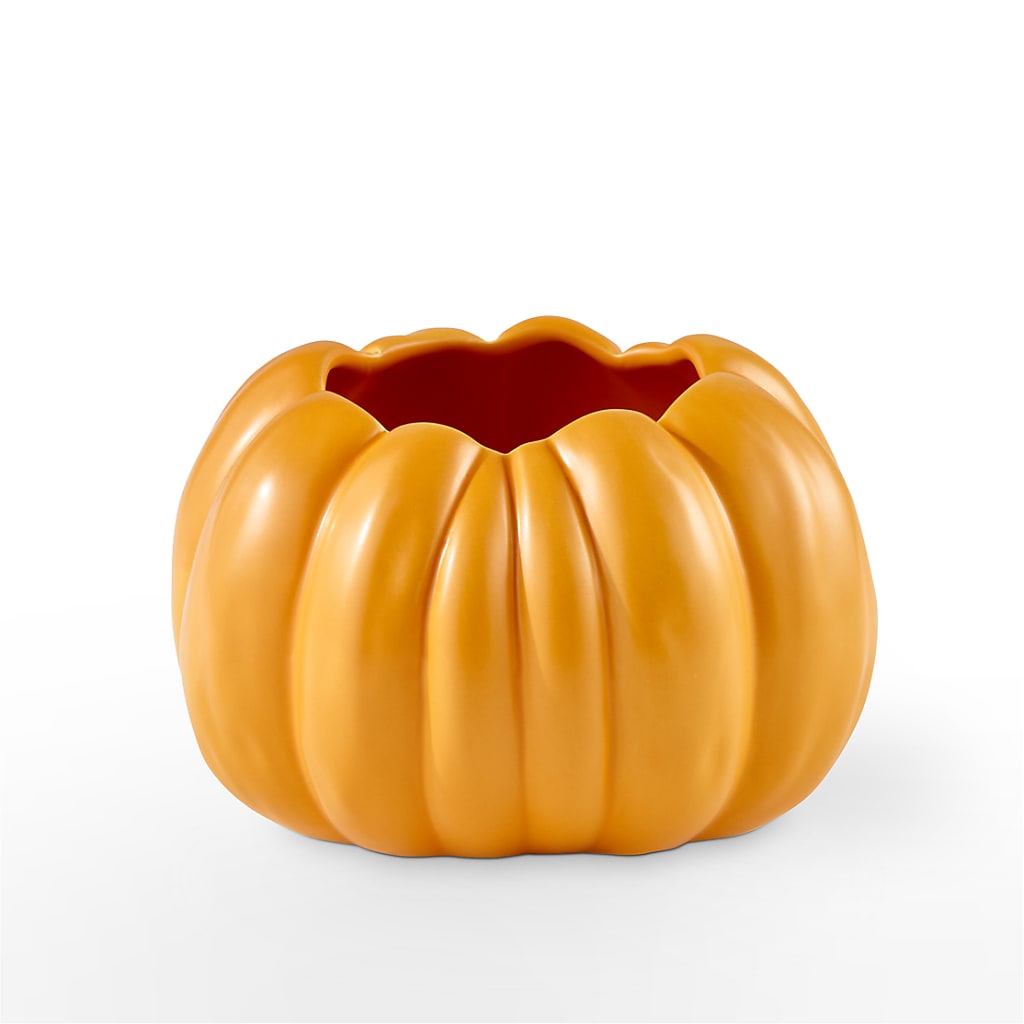 Pick of the Patch Pumpkin Bouquet –  Bruce Philp Florist, Windsor ON