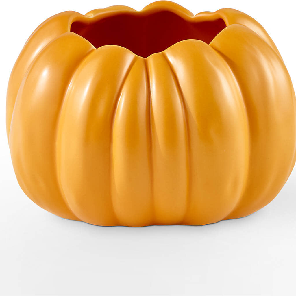 Golden Gourd Pumpkin Bouquet –  Bruce Philp Florist, Windsor ON