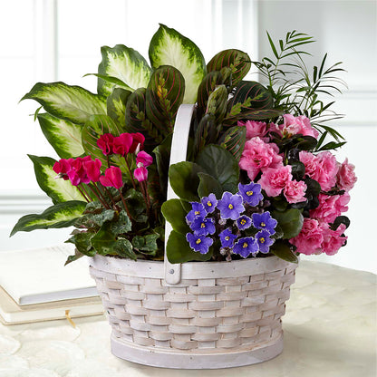 Peaceful Garden Planter –  Bruce Philp Florist, Windsor ON