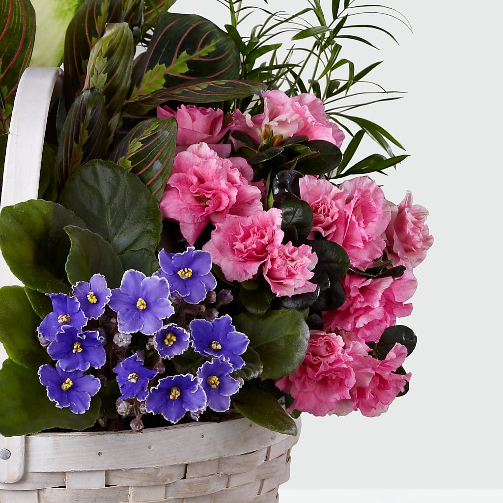 Peaceful Garden Planter –  Bruce Philp Florist, Windsor ON