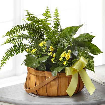 Always Dear Dishgarden –  Bruce Philp Florist, Windsor ON