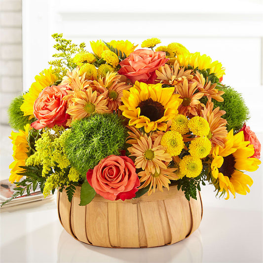 Harvest Sunflower Basket –  Bruce Philp Florist, Windsor ON