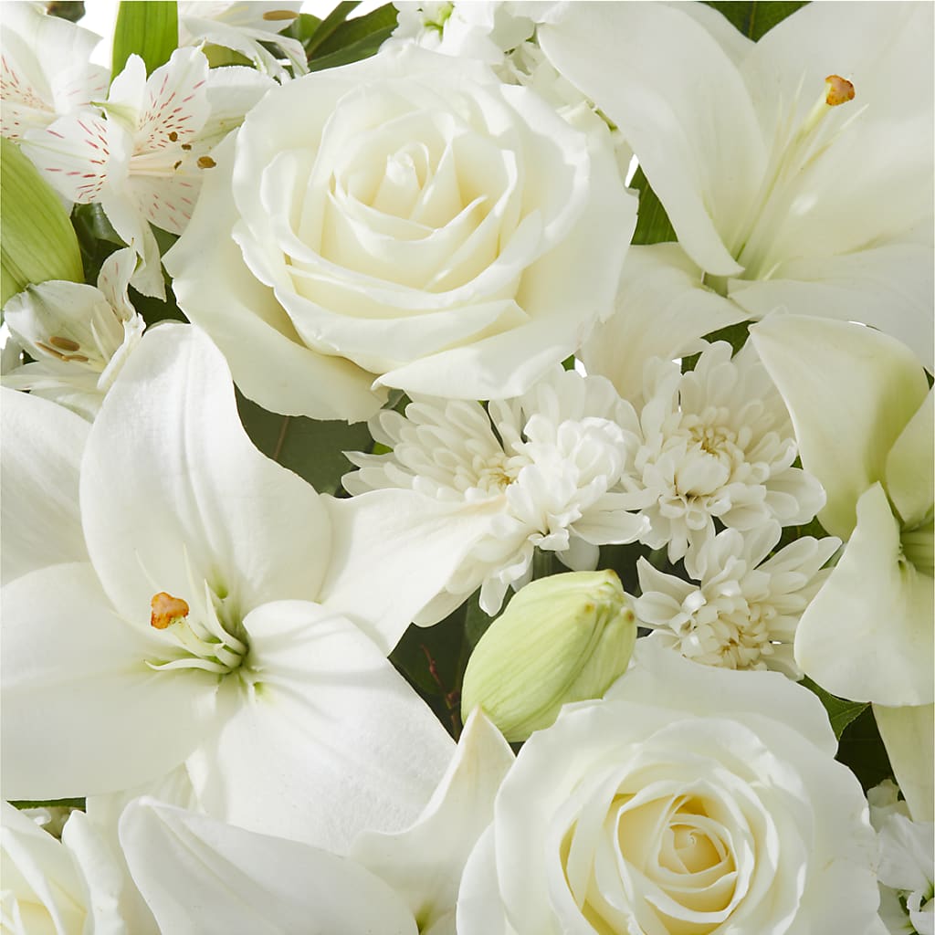 Peaceful Reflections Arrangement –  Bruce Philp Florist, Windsor ON