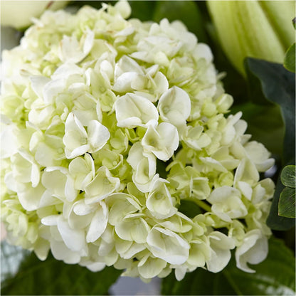 Classic Ivory – A Florist Original –  Bruce Philp Florist, Windsor ON