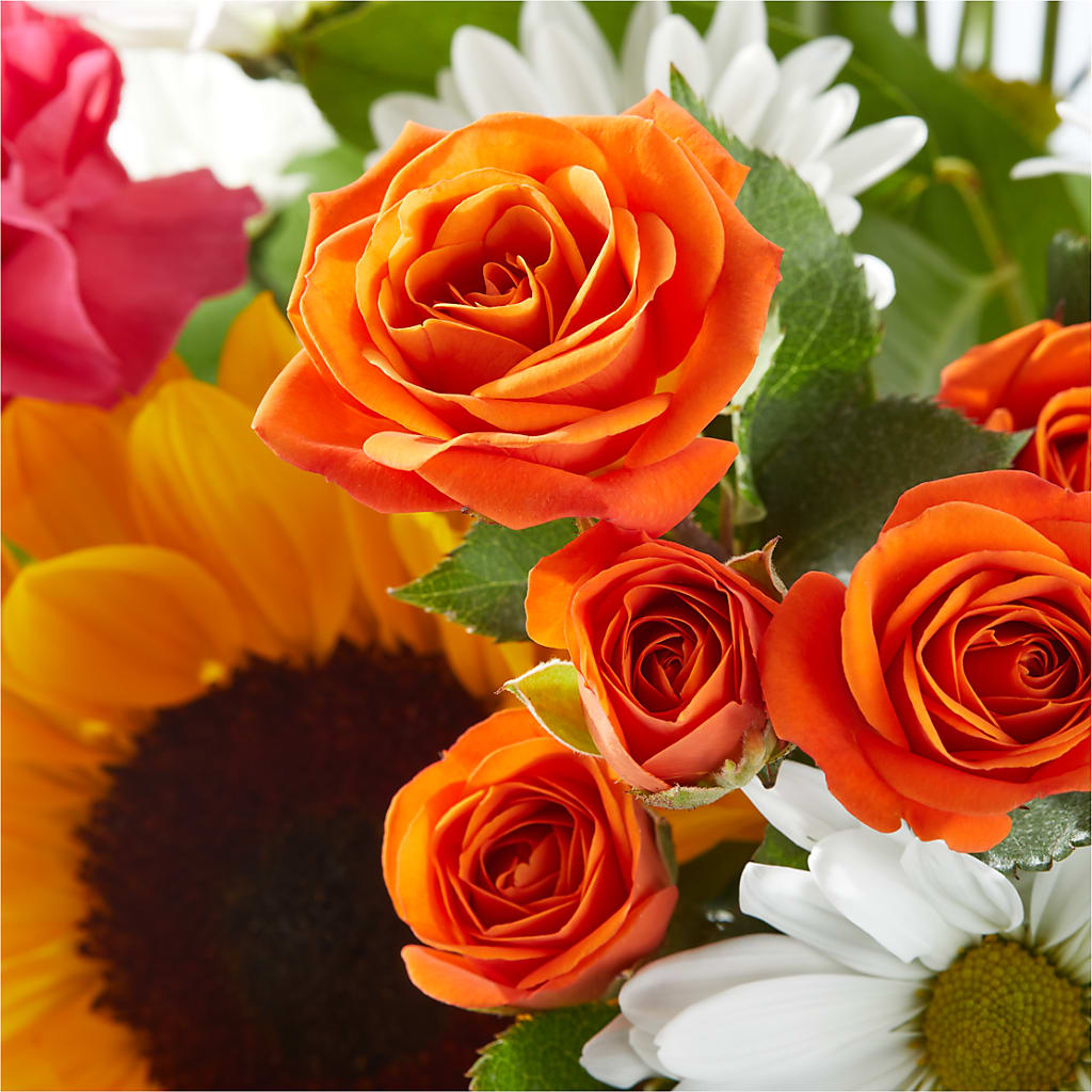Sun-drenched Blooms Bouquet –  Bruce Philp Florist, Windsor ON