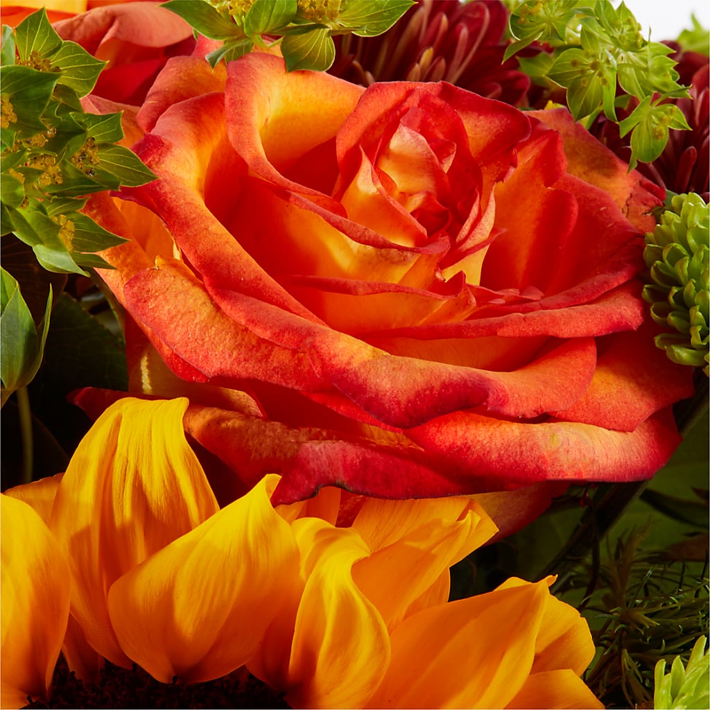 Harvest Festival Bouquet –  Bruce Philp Florist, Windsor ON
