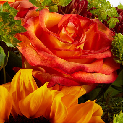 Harvest Festival Bouquet –  Bruce Philp Florist, Windsor ON