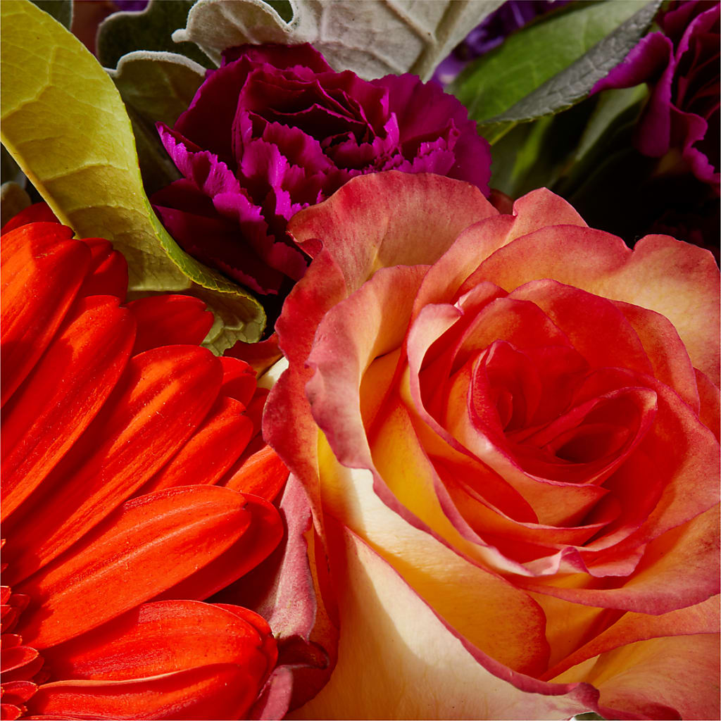 Sangria Bouquet –  Bruce Philp Florist, Windsor ON