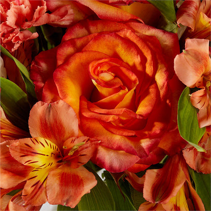 Apricot Glow Bouquet –  Bruce Philp Florist, Windsor ON