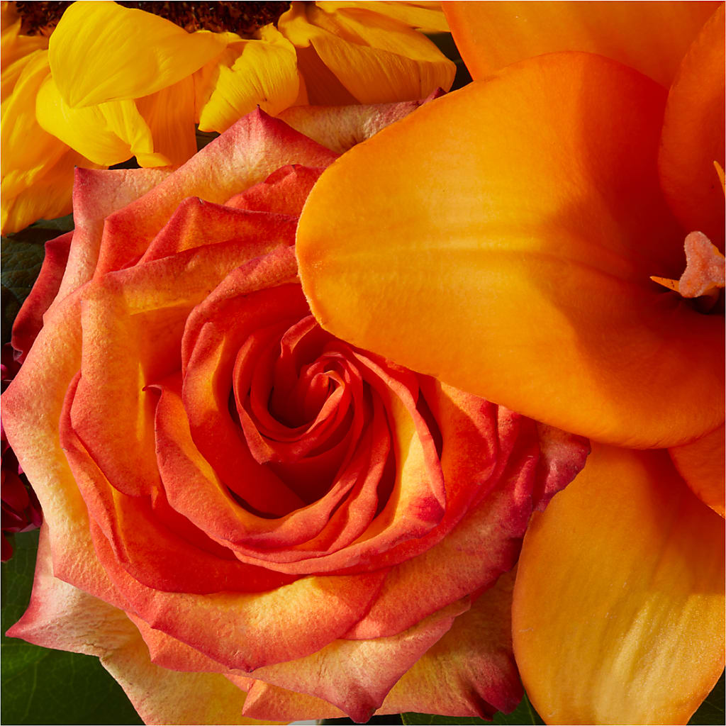 Grateful Centerpiece –  Bruce Philp Florist, Windsor ON