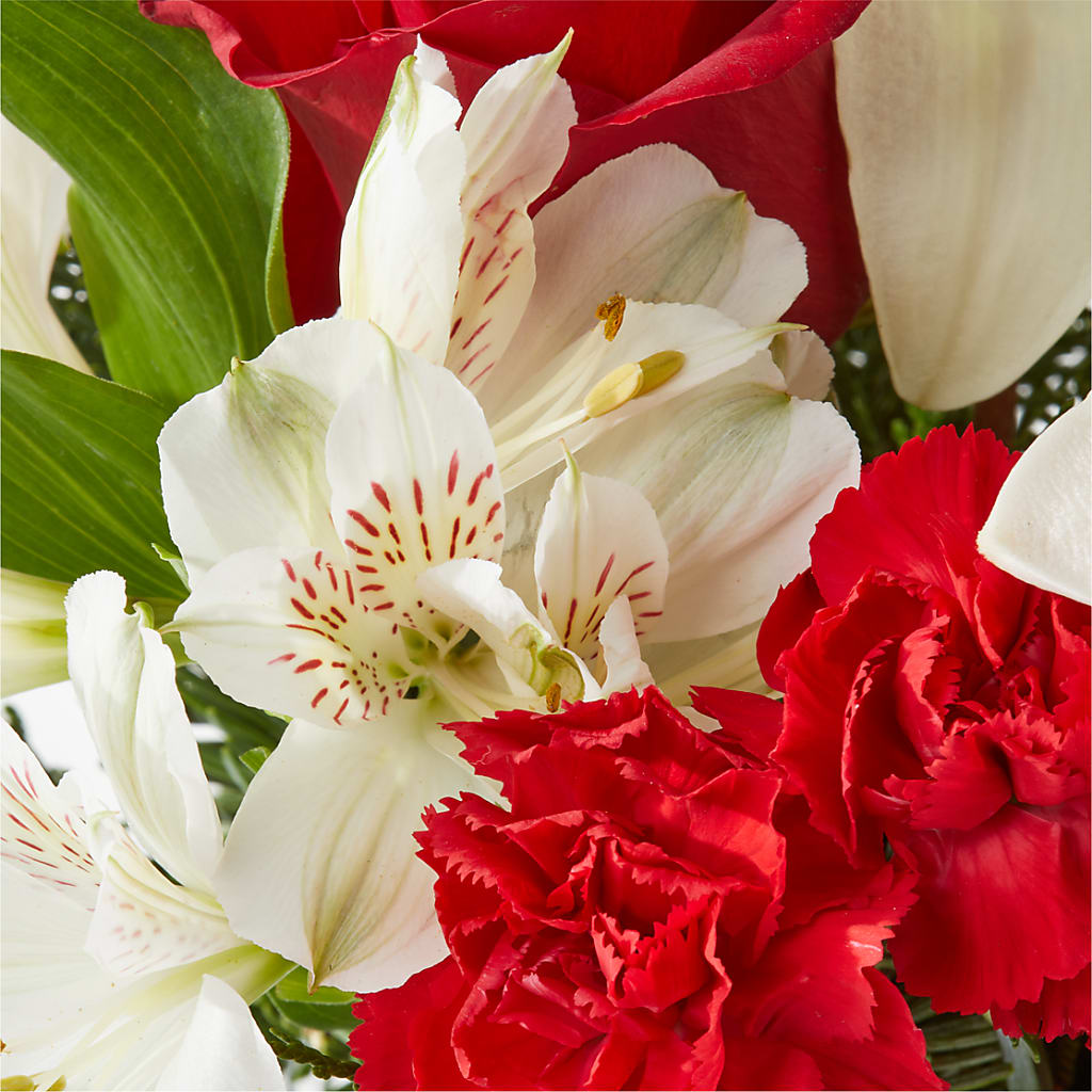 Holiday Season Bouquet –  Bruce Philp Florist, Windsor ON