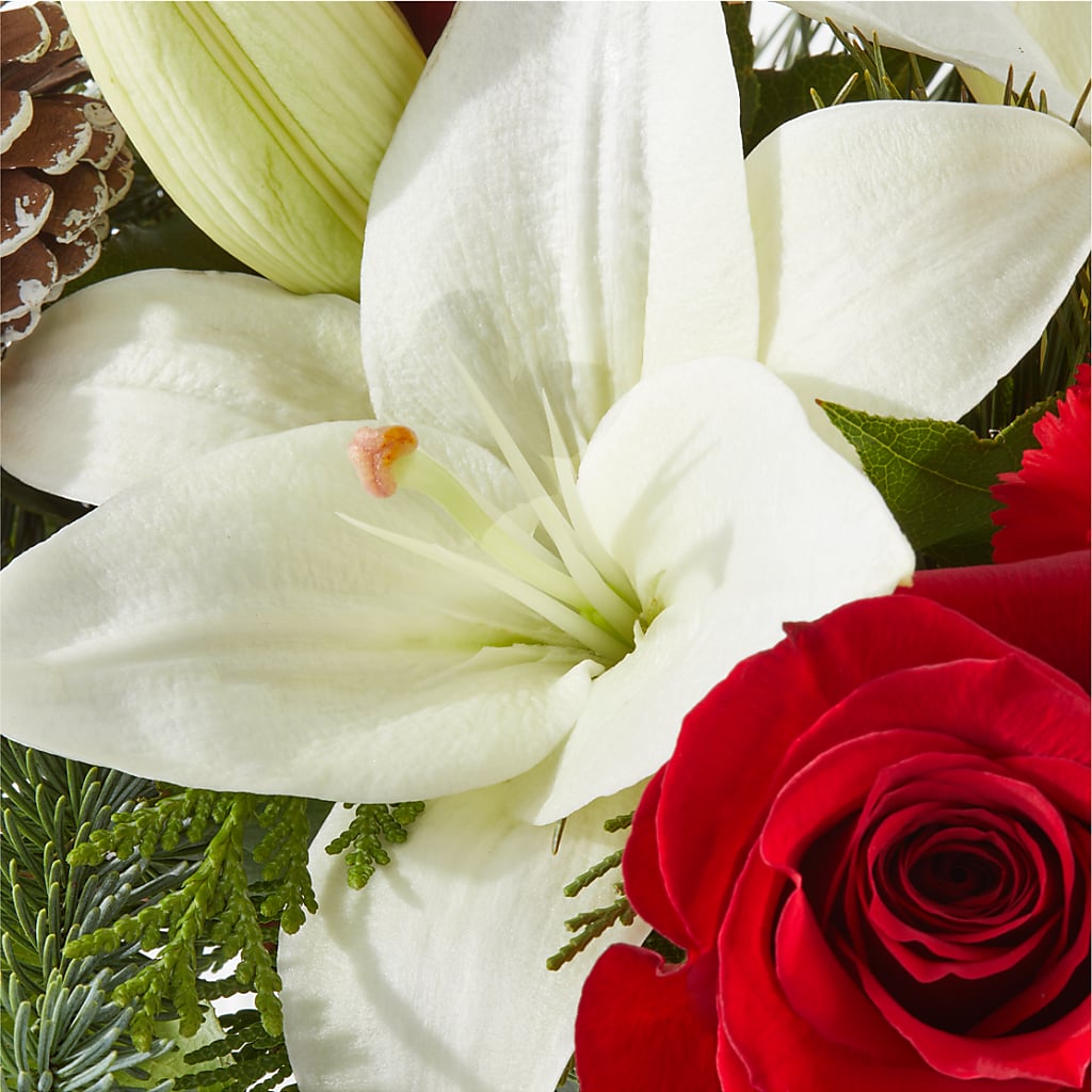 Oh So Jolly Bouquet –  Bruce Philp Florist, Windsor ON