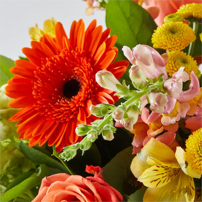 Autumn Sunshine Bouquet –  Bruce Philp Florist, Windsor ON