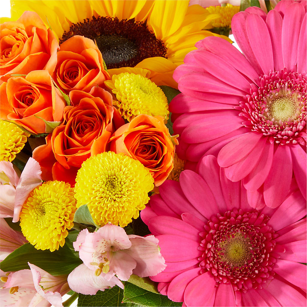 Beach Day Bouquet –  Bruce Philp Florist, Windsor ON