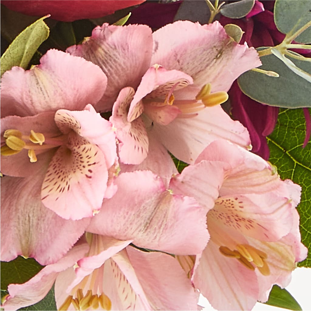 Berry Cobbler Bouquet –  Bruce Philp Florist, Windsor ON