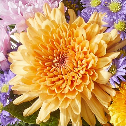Countryside Bouquet –  Bruce Philp Florist, Windsor ON