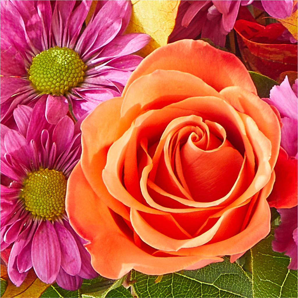 Mum's the Word Bouquet –  Bruce Philp Florist, Windsor ON