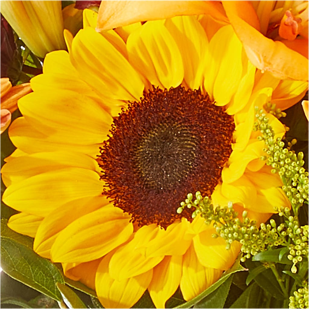 Seasons Change Bouquet –  Bruce Philp Florist, Windsor ON