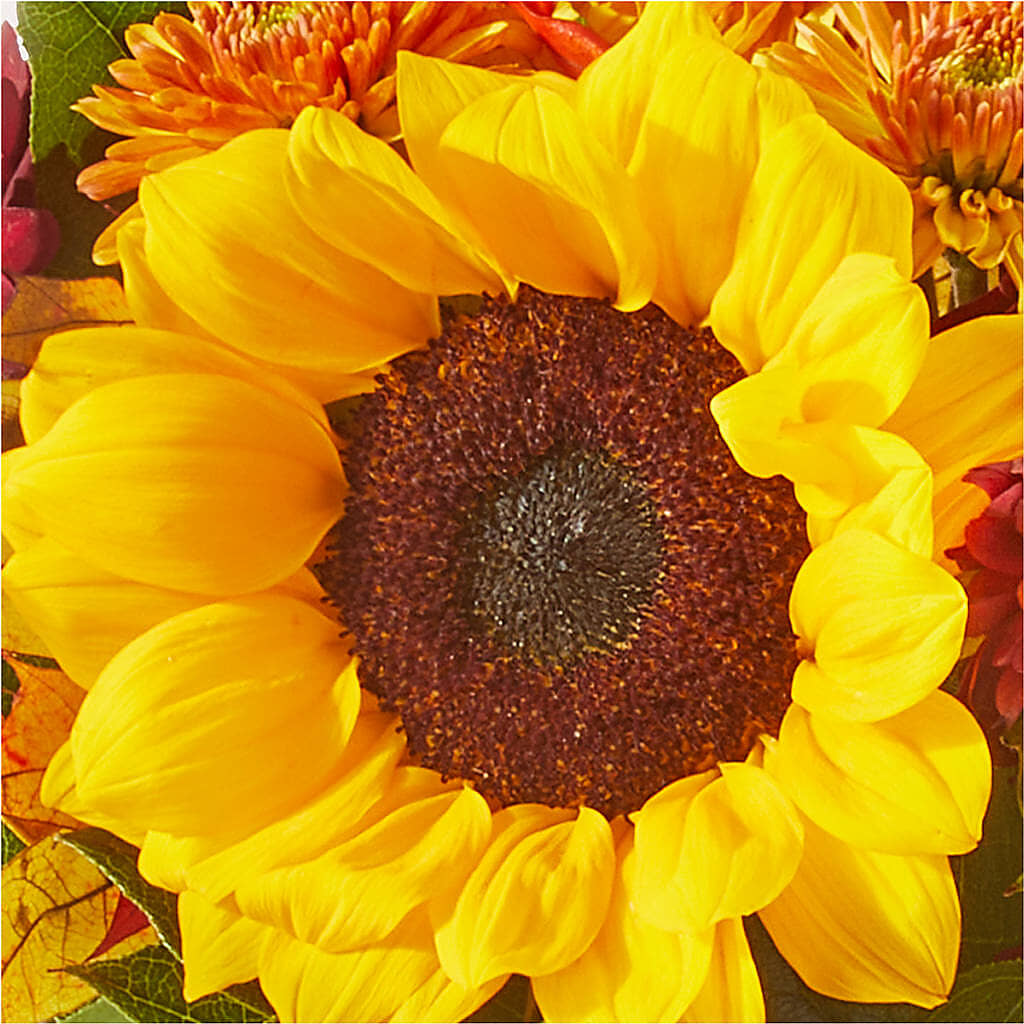 Sunny Side Bouquet –  Bruce Philp Florist, Windsor ON