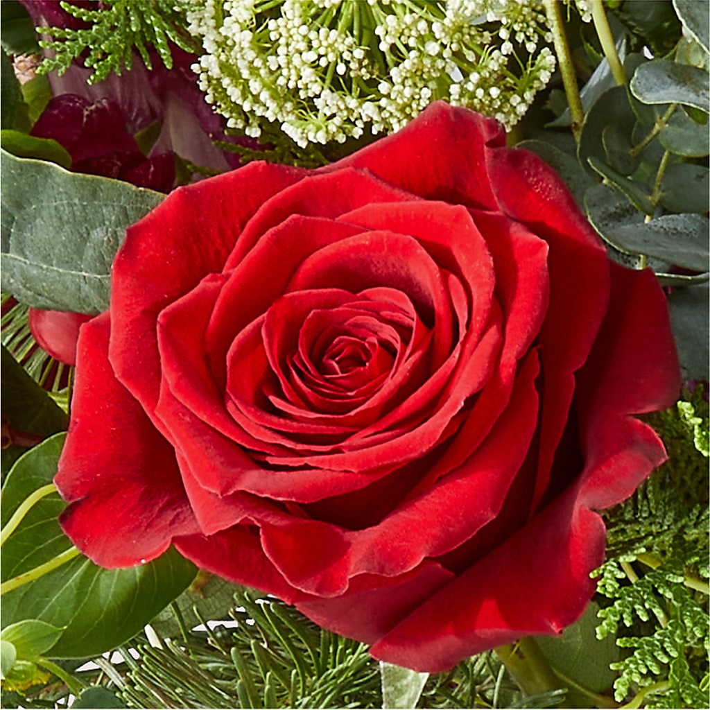 Cranberry Fizz Bouquet –  Bruce Philp Florist, Windsor ON