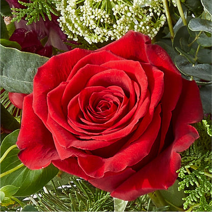 Cranberry Fizz Bouquet –  Bruce Philp Florist, Windsor ON