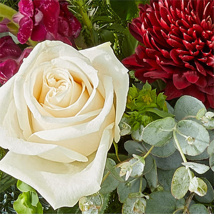 Cranberry Fizz Bouquet –  Bruce Philp Florist, Windsor ON