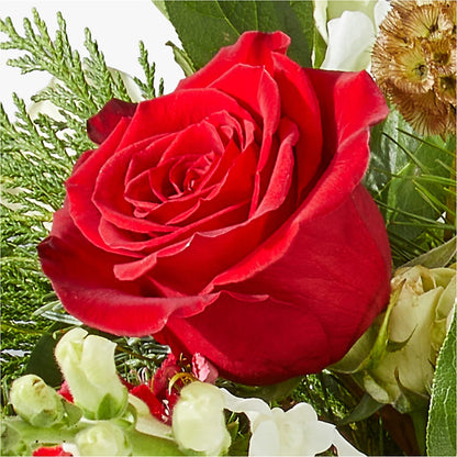 Deck the Halls Bouquet –  Bruce Philp Florist, Windsor ON