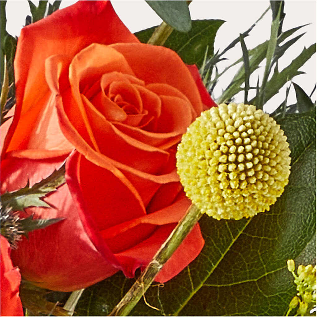 Disco Bouquet –  Bruce Philp Florist, Windsor ON