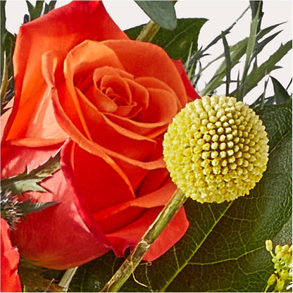Disco Bouquet –  Bruce Philp Florist, Windsor ON