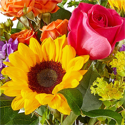 Vibrant Greetings Bouquet –  Bruce Philp Florist, Windsor ON