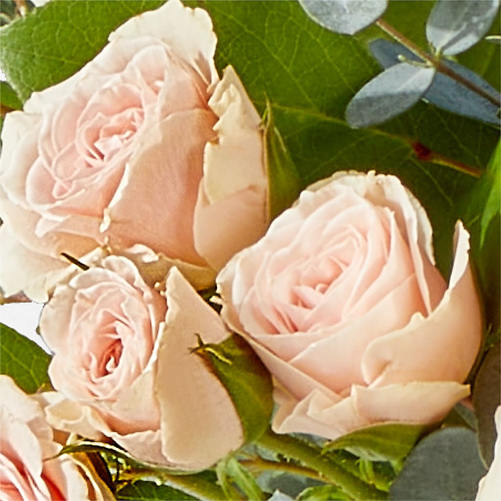 Inspired Bouquet –  Bruce Philp Florist, Windsor ON