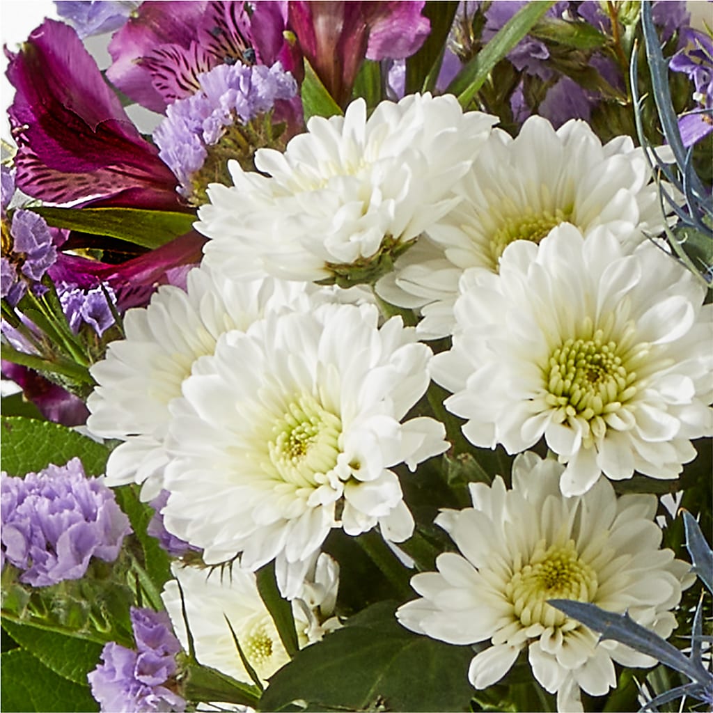 Shooting Star Bouquet –  Bruce Philp Florist, Windsor ON