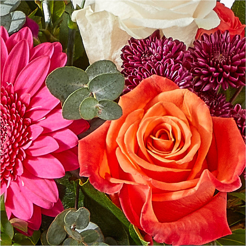 Smell the Roses Bouquet –  Bruce Philp Florist, Windsor ON