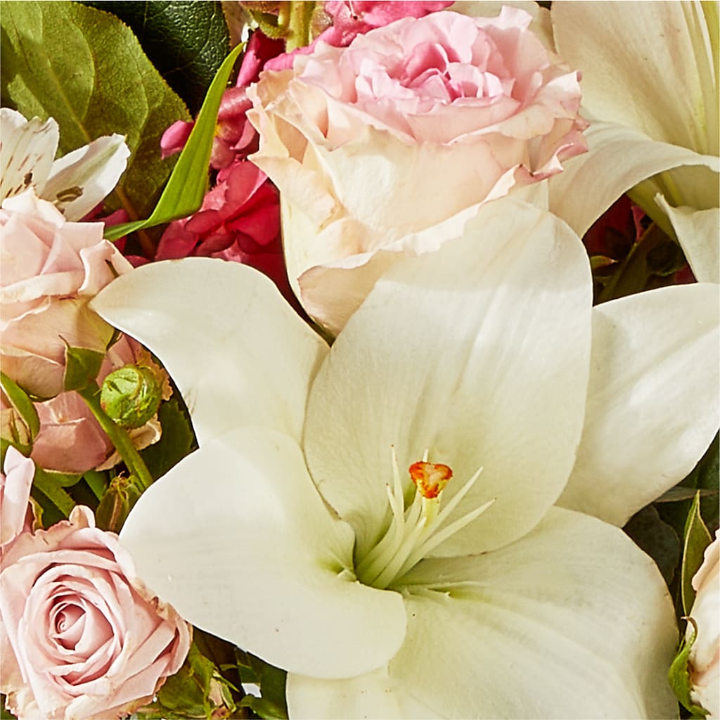 Ballet Slippers Bouquet –  Bruce Philp Florist, Windsor ON