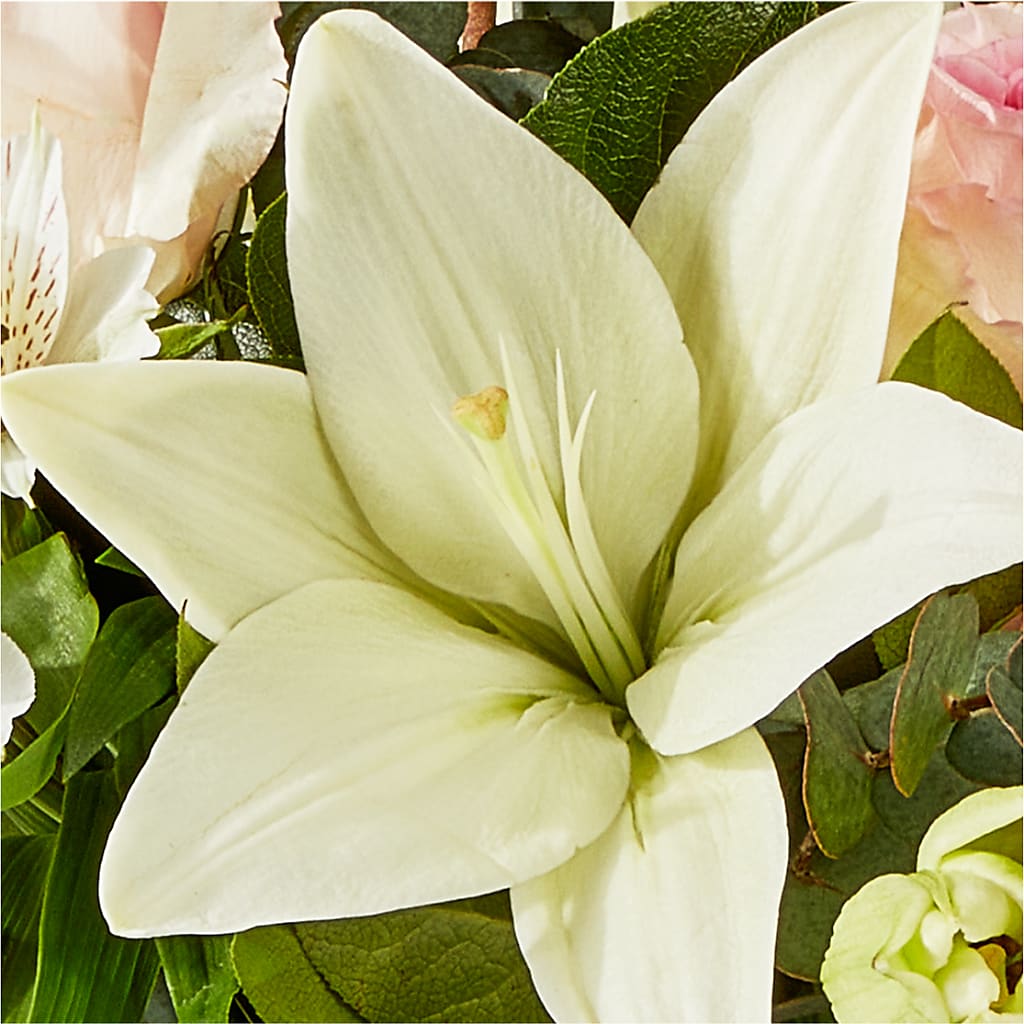 Ballet Slippers Bouquet –  Bruce Philp Florist, Windsor ON