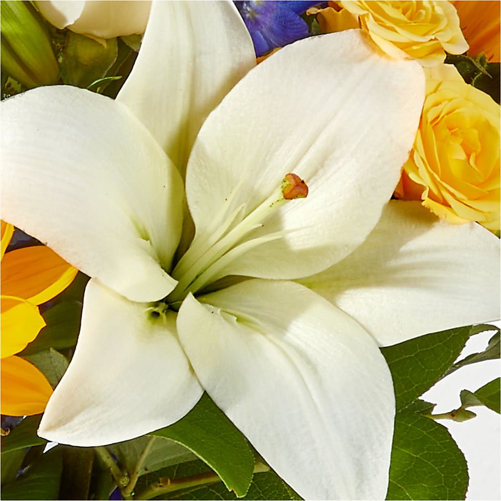 Wonderfully Sunny Bouquet –  Bruce Philp Florist, Windsor ON