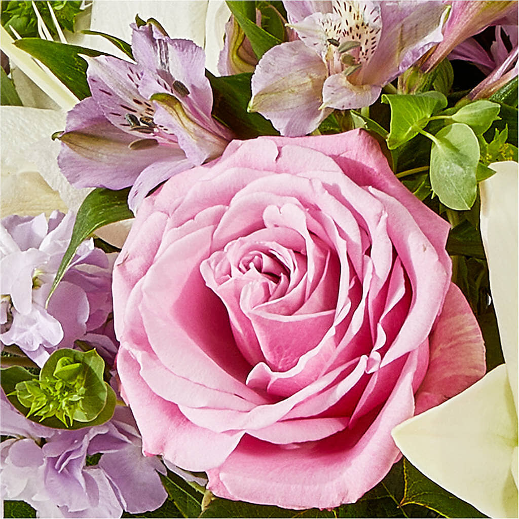 Daydreamer Bouquet –  Bruce Philp Florist, Windsor ON