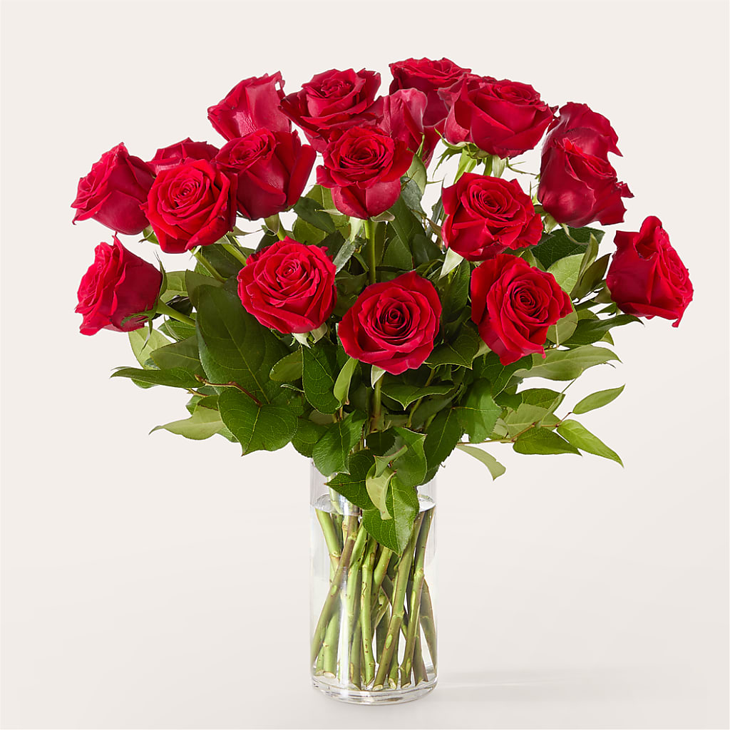 The One Red Rose Bouquet –  Bruce Philp Florist, Windsor ON