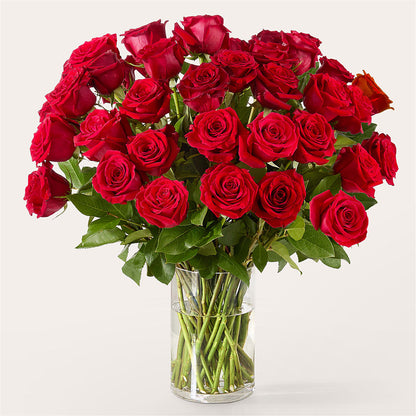 The One Red Rose Bouquet –  Bruce Philp Florist, Windsor ON