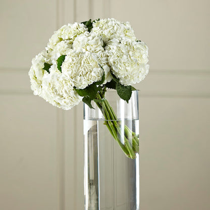 White Hydrangea Hand-Tied Bouquet –  Bruce Philp Florist, Windsor ON