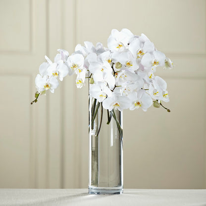 White Phalaenopsis Bouquet –  Bruce Philp Florist, Windsor ON