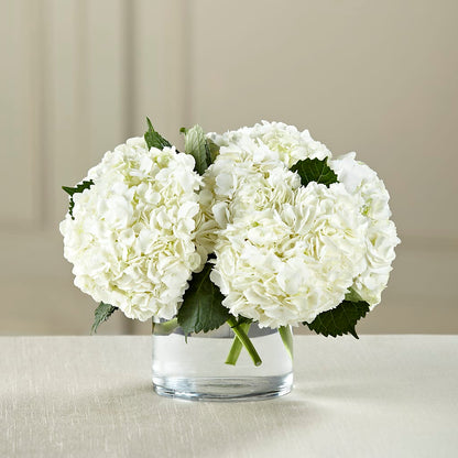 White Hydrangea Bouquet –  Bruce Philp Florist, Windsor ON