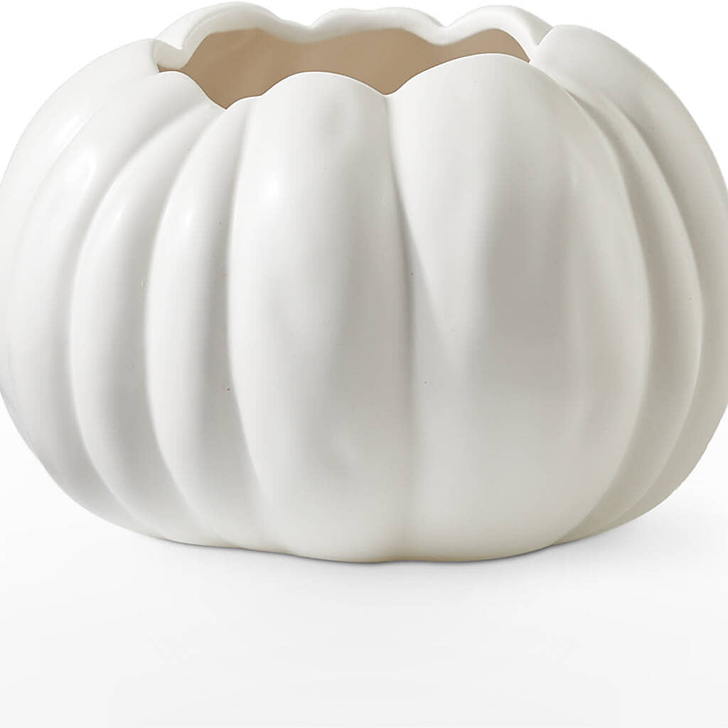 Pumpkin to Talk About Bouquet –  Bruce Philp Florist, Windsor ON